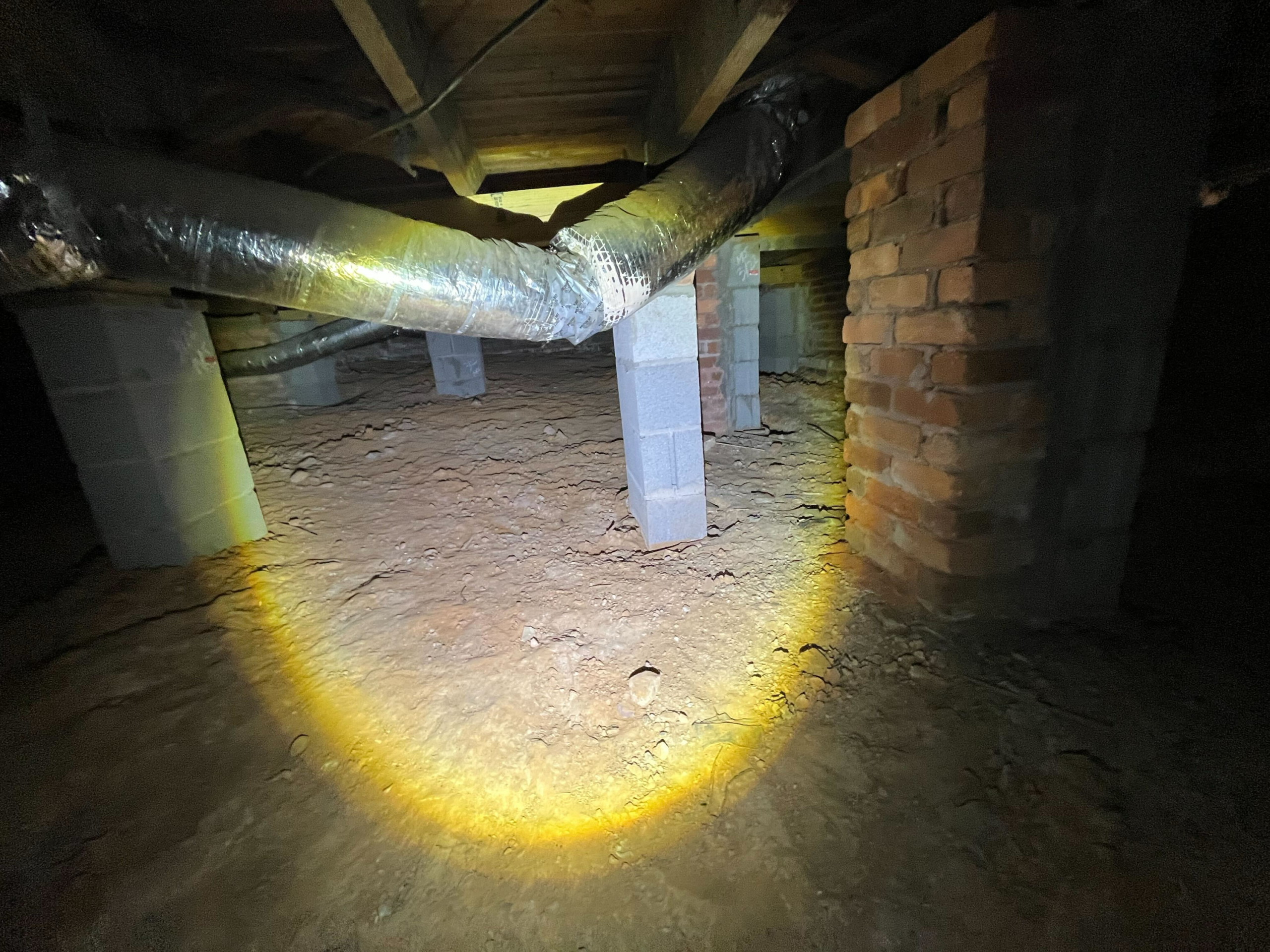 Dark crawl space area of a home where attic and crawlspace pests commonly hide